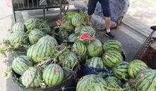 淄博吃瓜爆料事件视频最新,揭秘事件背后惊人真相